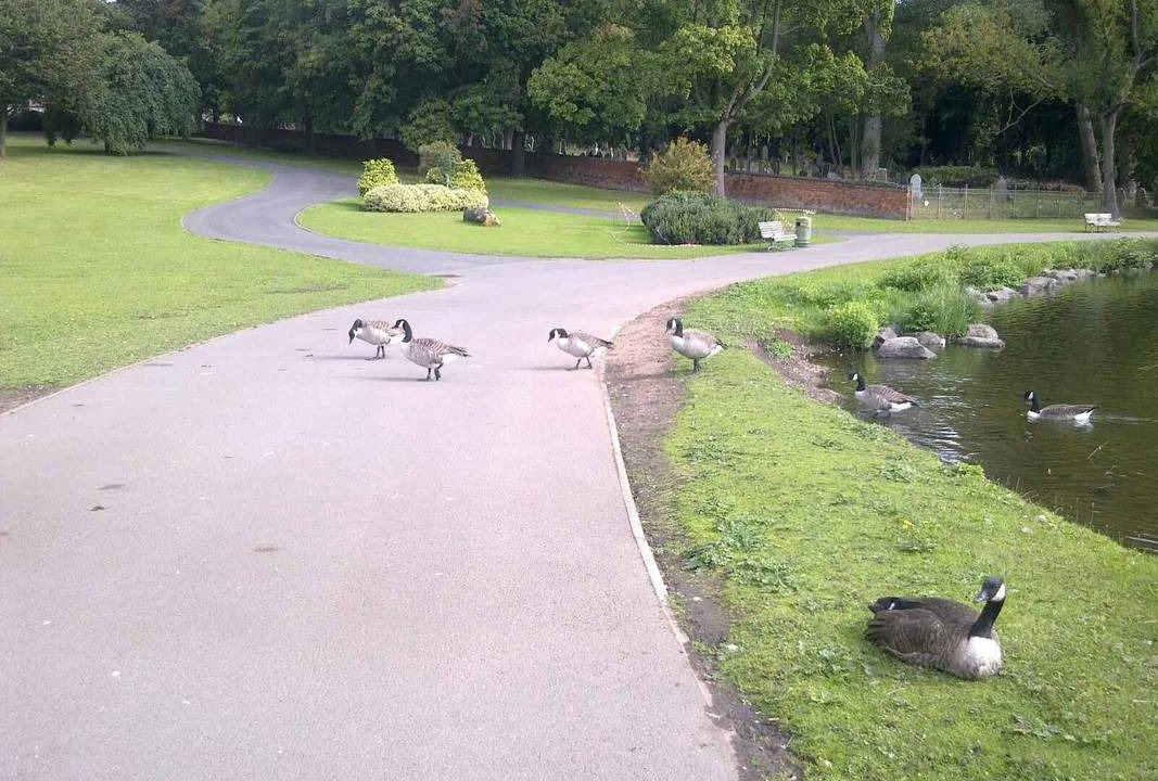 Photo of Others in Birmingham