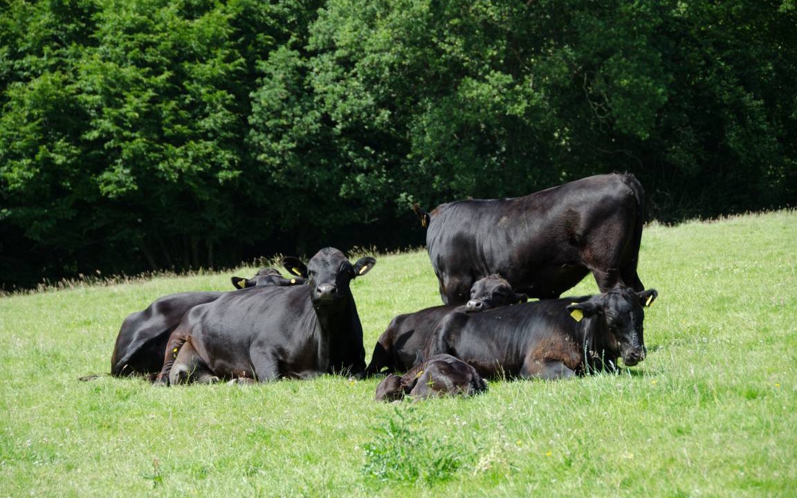 Photo of Others in Mayfield