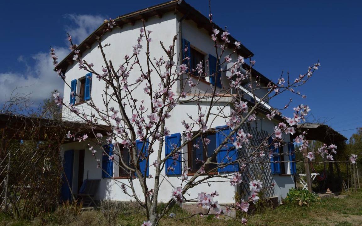 Photo of Buildings in Bindua
