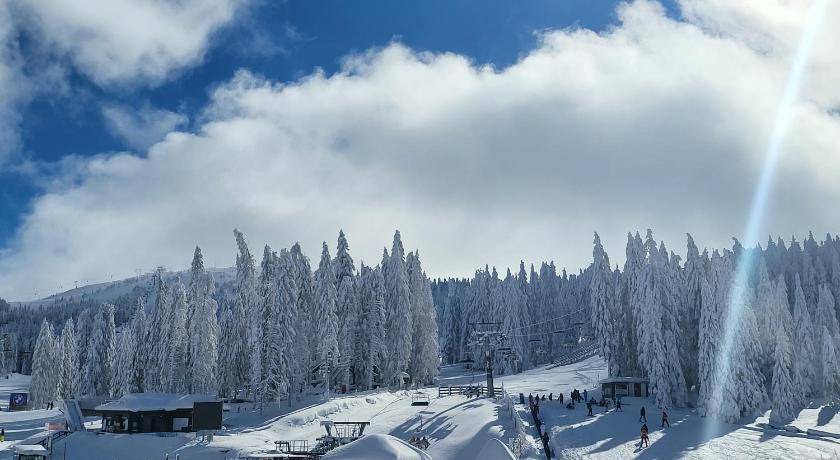 Photo of Others in Kopaonik