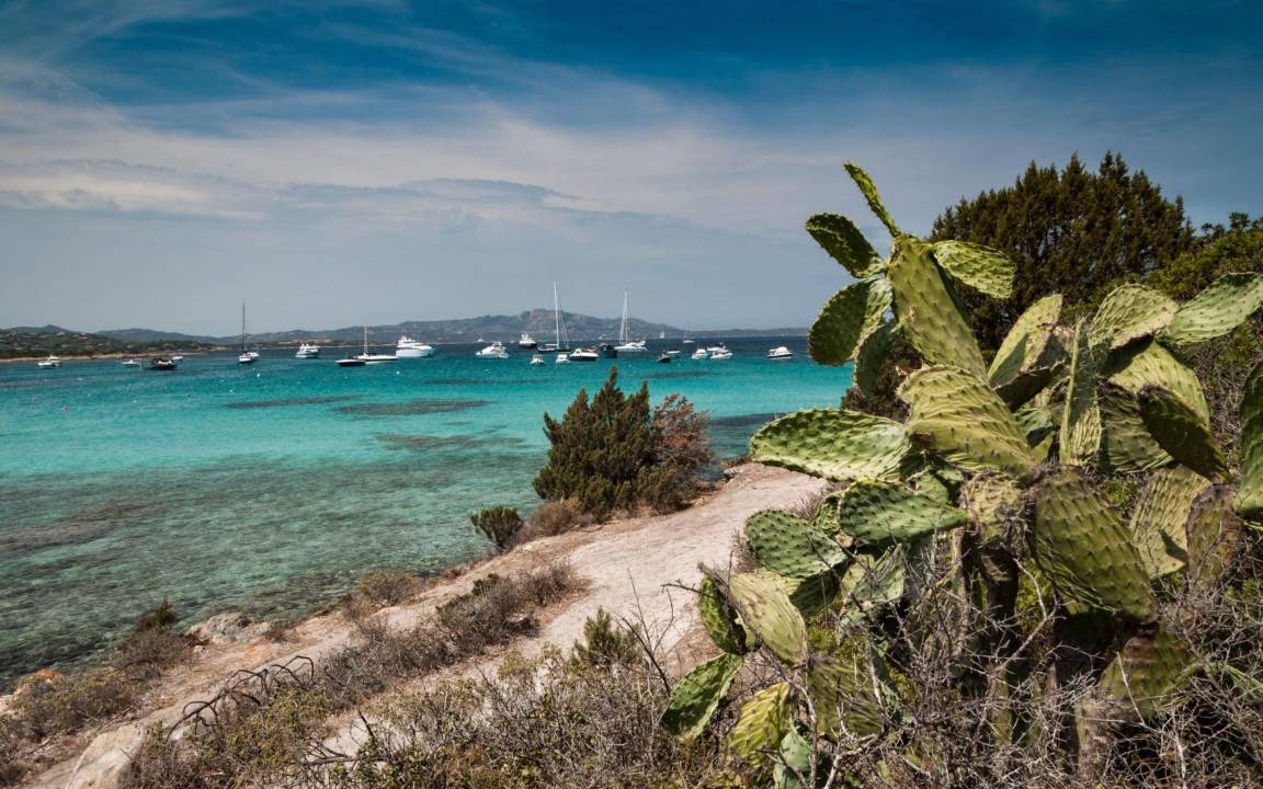 Photo of Others in Baia Caddinas