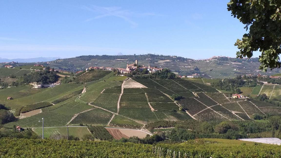 Photo of Others in Serralunga d'Alba