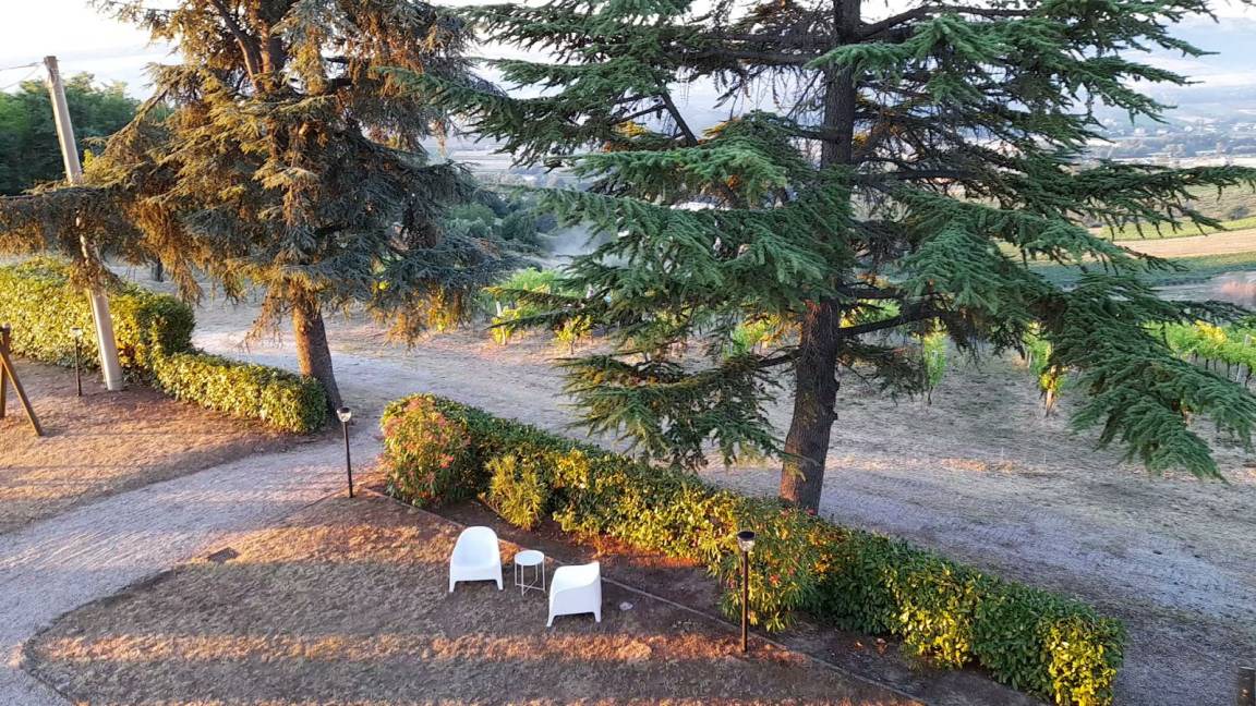 Photo of Others in Ortezzano
