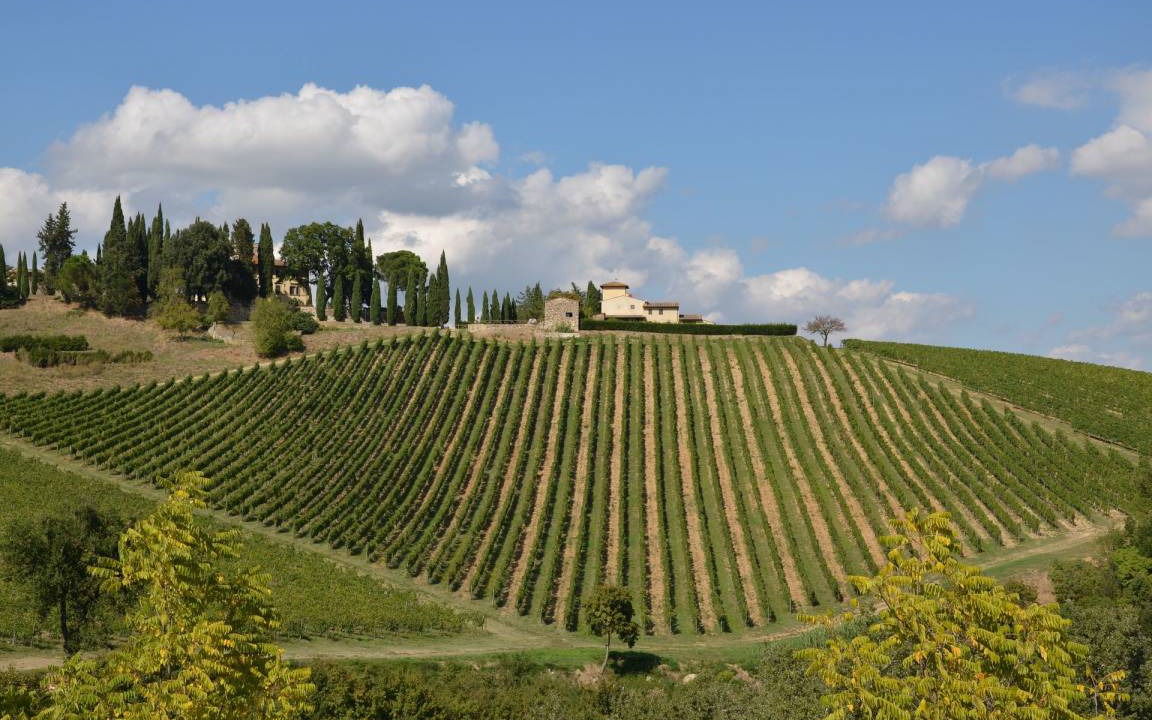 Photo of Others in San Casciano in Val di Pesa