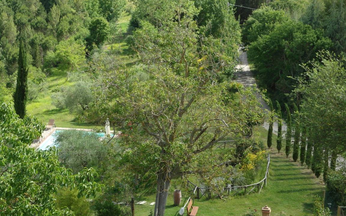 Photo of Others in Citta della Pieve