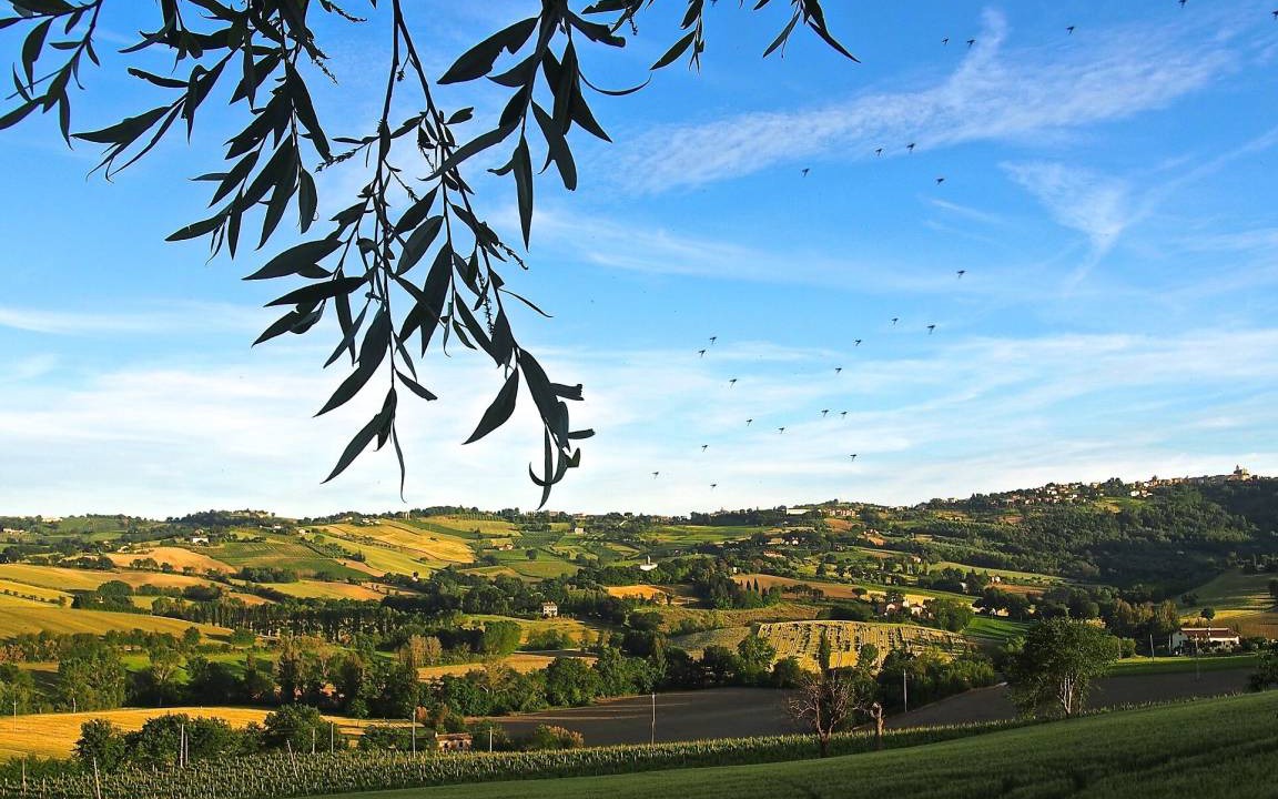 Photo of Others in Montecarotto