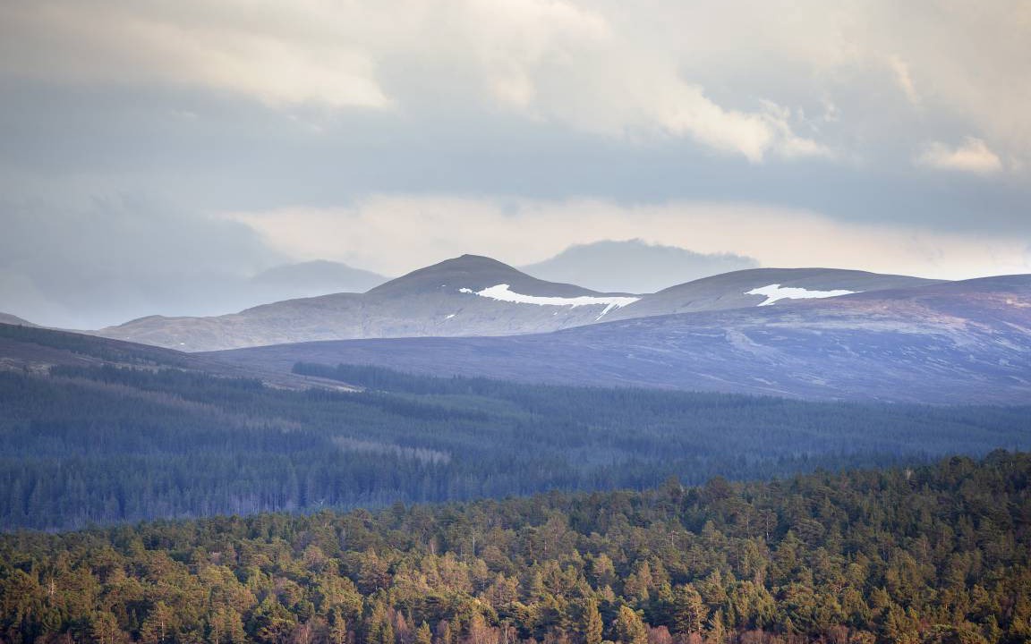 Photo of Others in Loch Tay