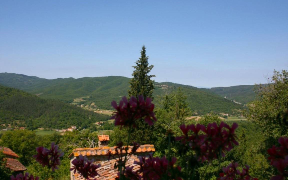 Photo of Others in Pieve di Chio