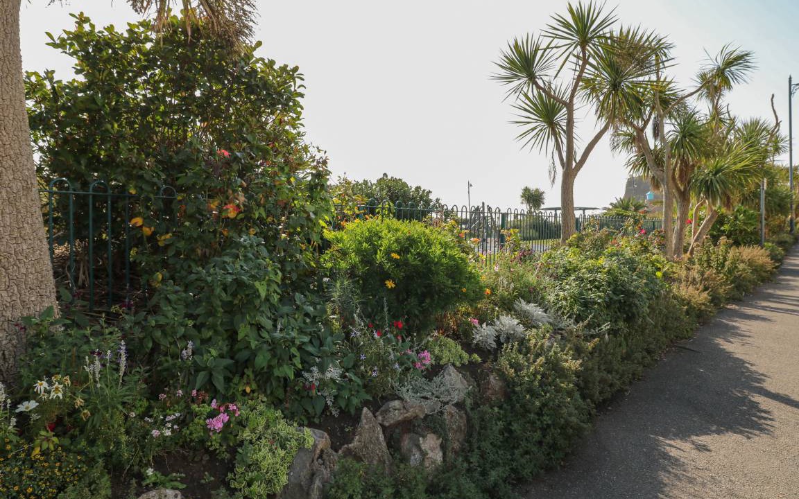 Photo of Outdoor in Teignmouth