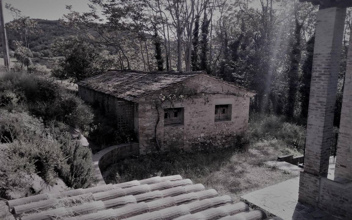 Photo of Others in Montelovesco