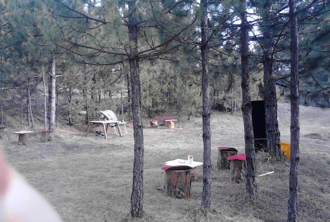 Photo of Others in Bajina Basta