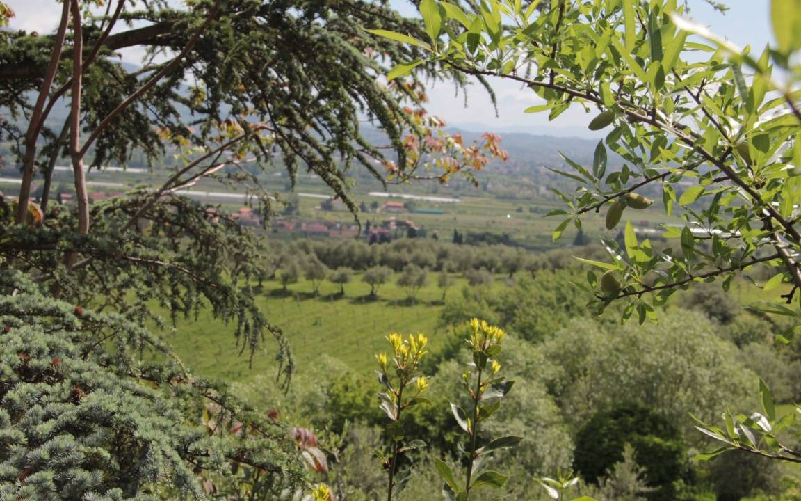 Photo of Others in San Michele di Moriano