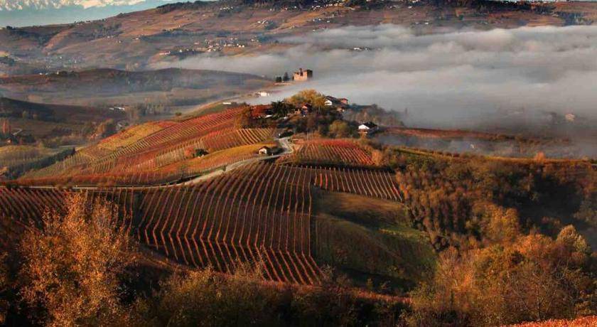 Photo of Others in Cascinette d'Ivrea