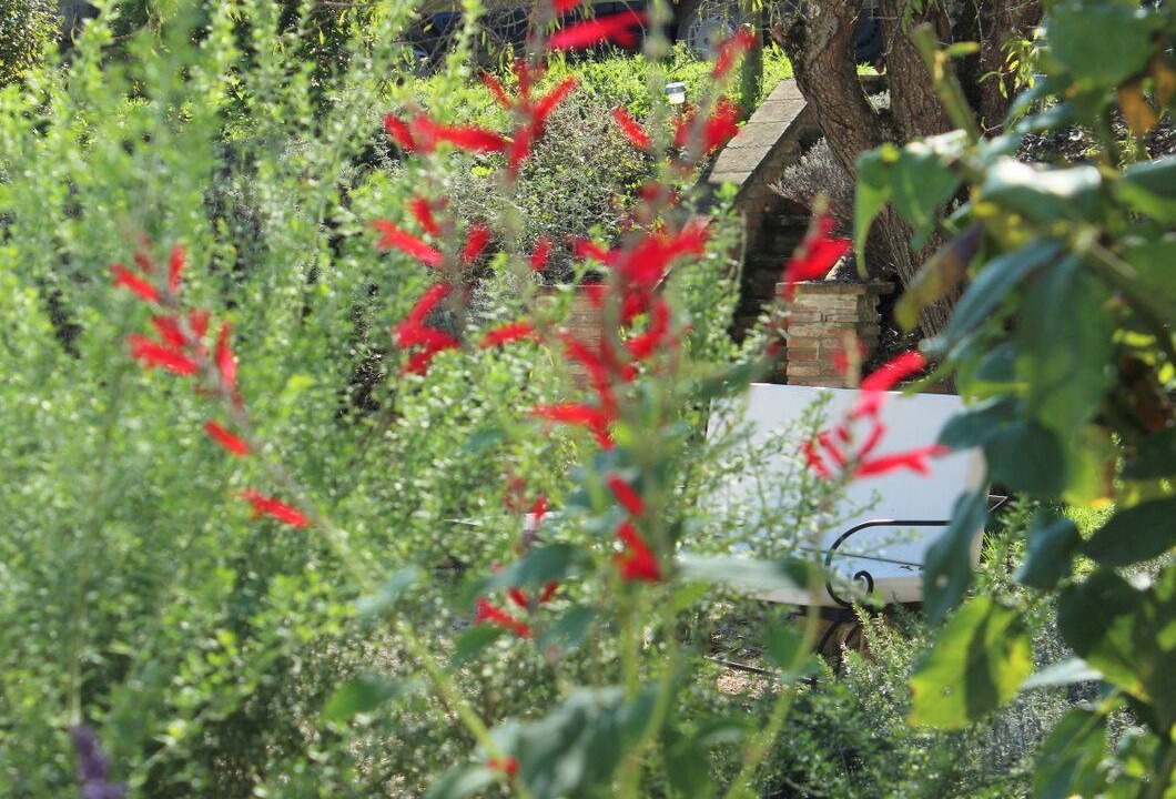 Photo of Others in Montone