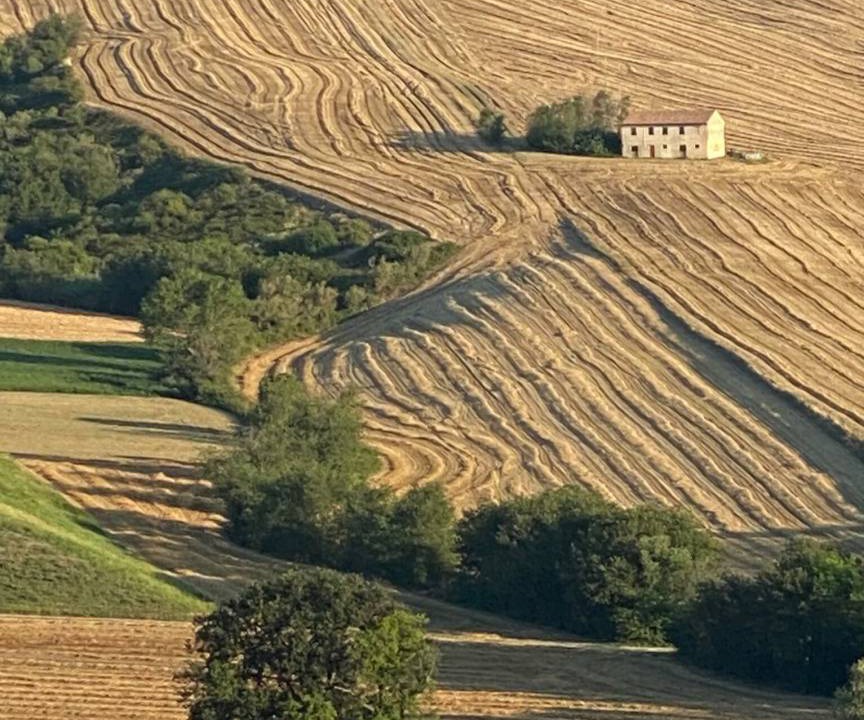 Photo of Others in San Costanzo