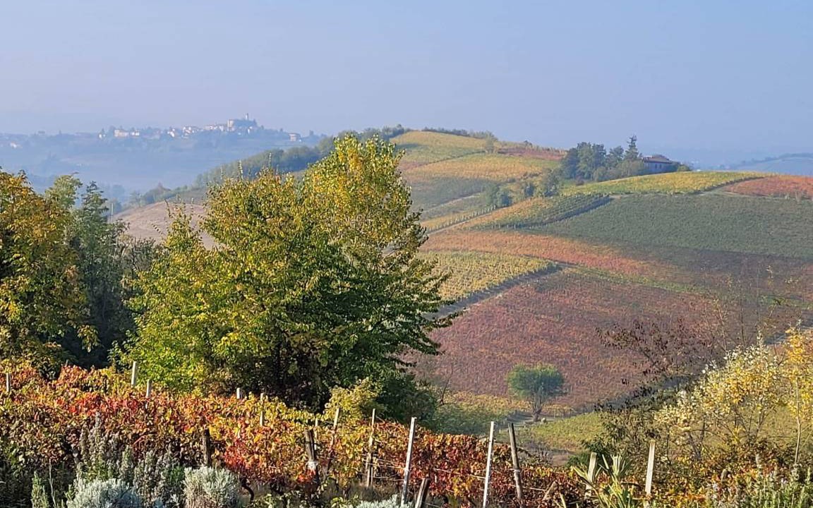 Photo of Others in Nizza Monferrato