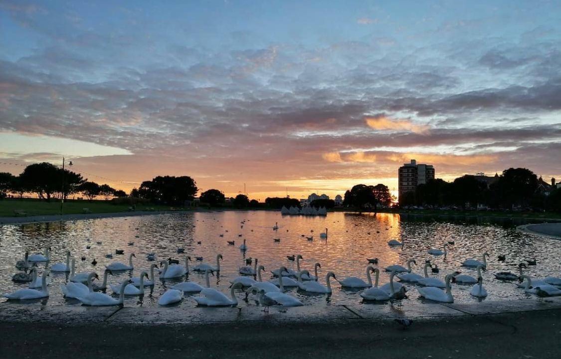Photo of Others in Southsea