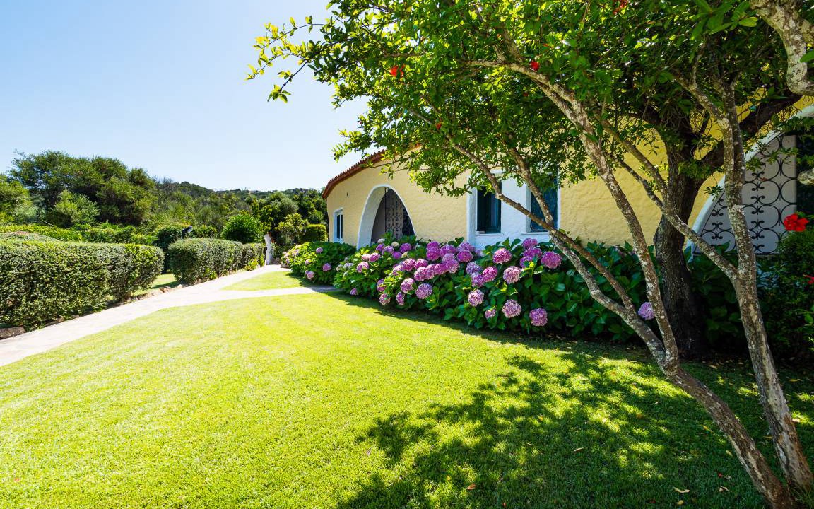 Photo of Buildings in Cala Bitta
