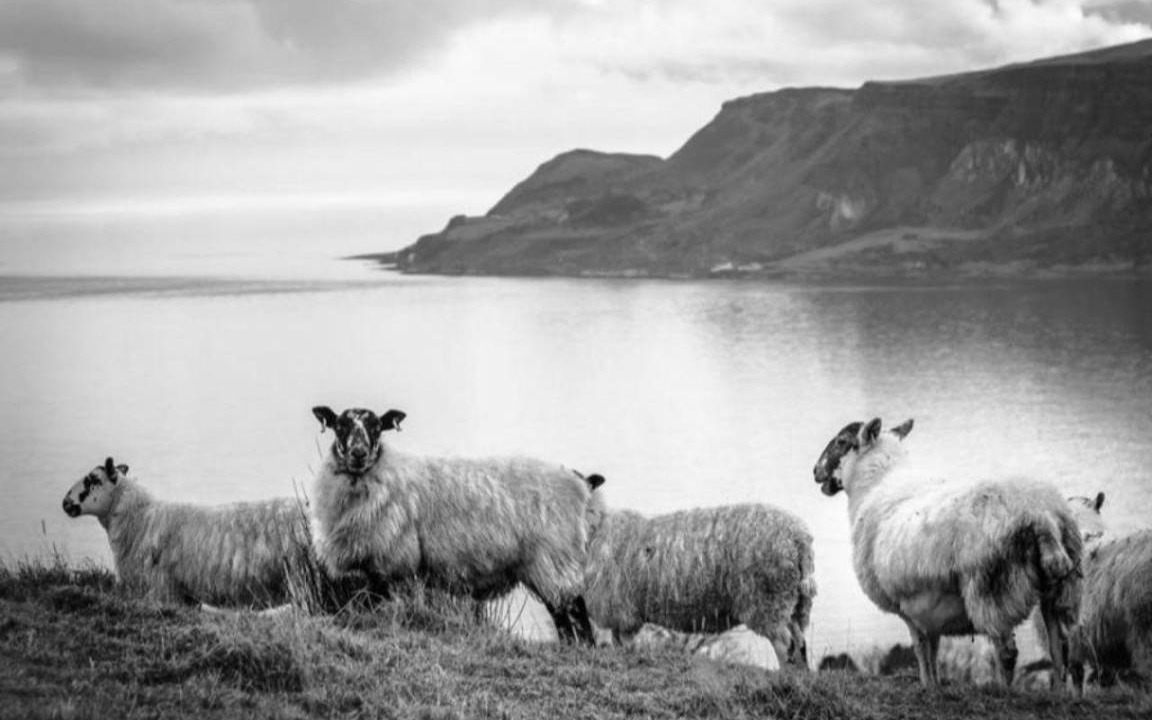 Photo of Others in Cushendall