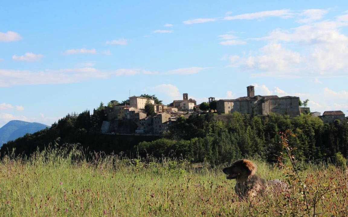 Photo of Others in Montone