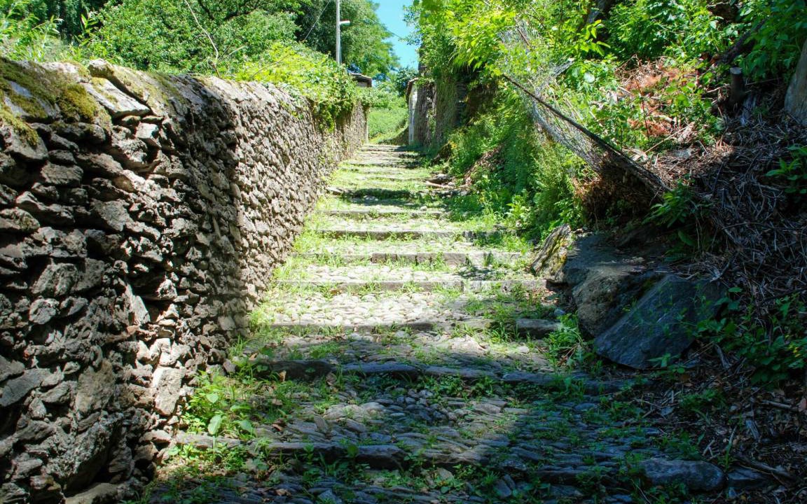 Photo of Others in Bellinzona