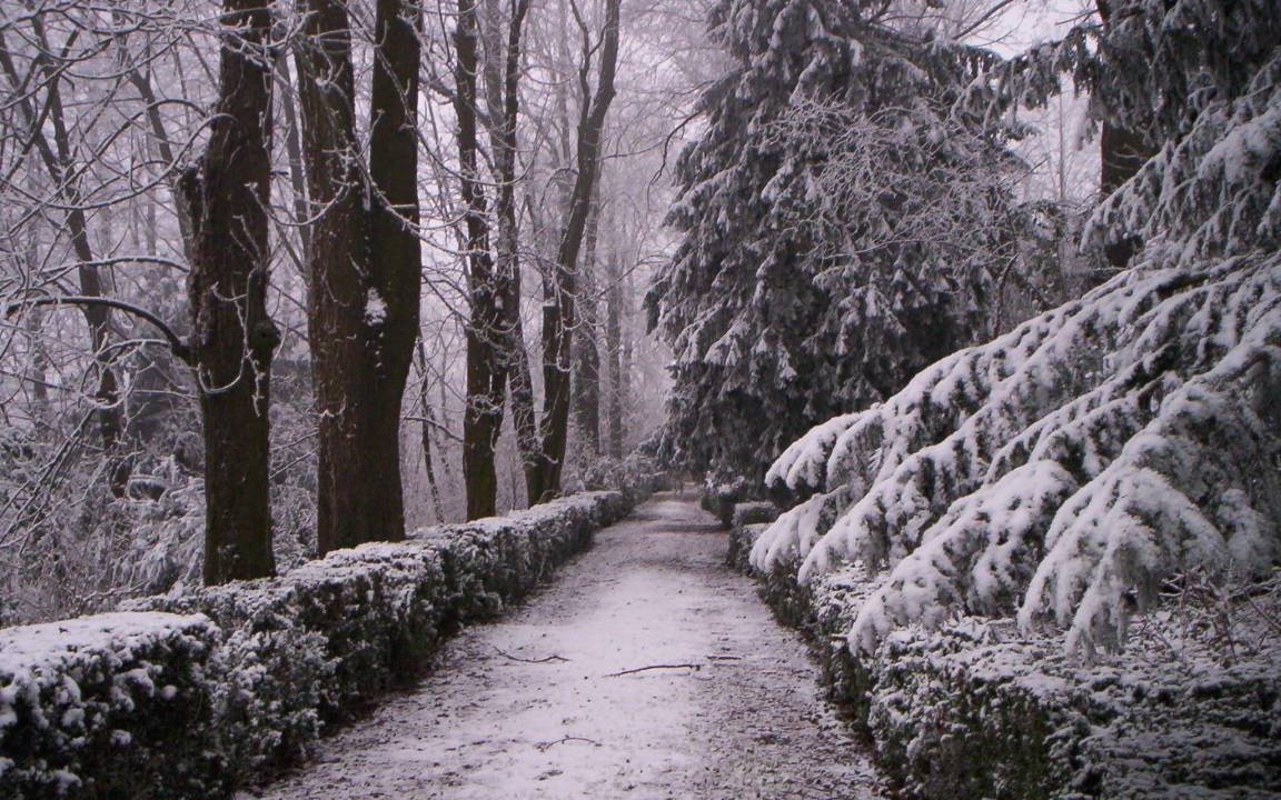 Photo of Others in Robella