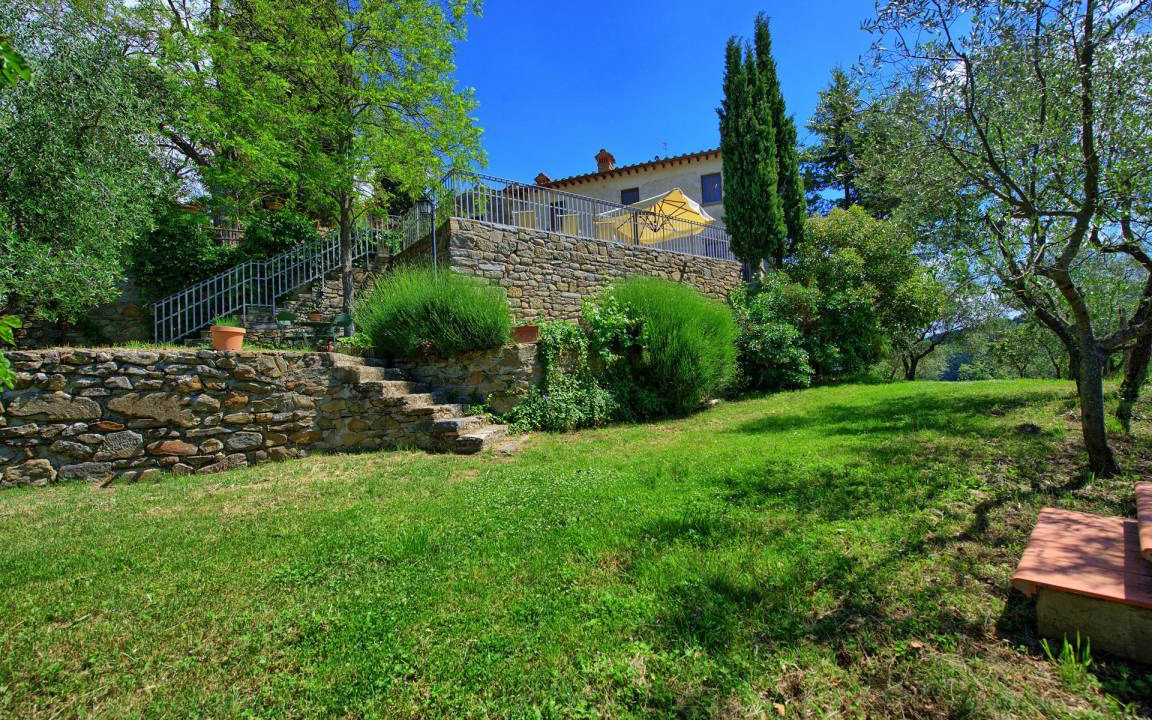 Photo of Others in Greve in Chianti