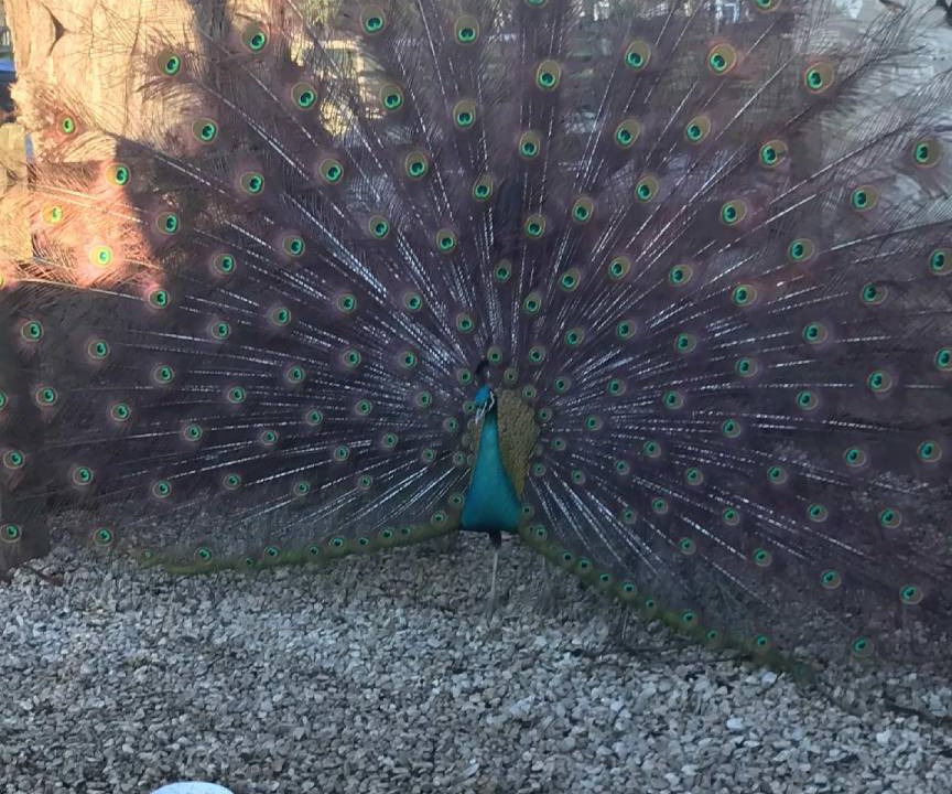 Photo of Others in Oxford