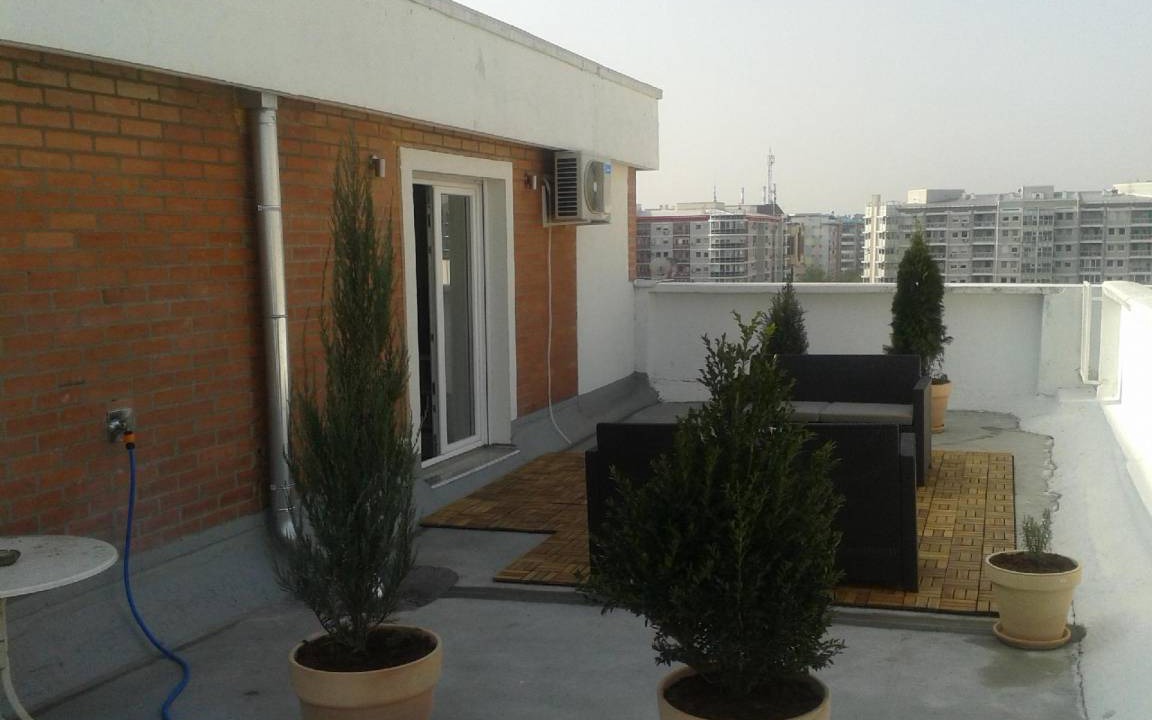 Photo of Others in Novi Beograd