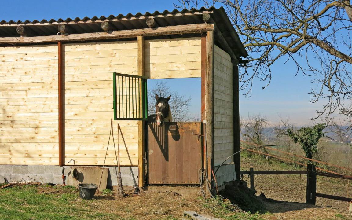 Photo of Others in Azzano d'Asti