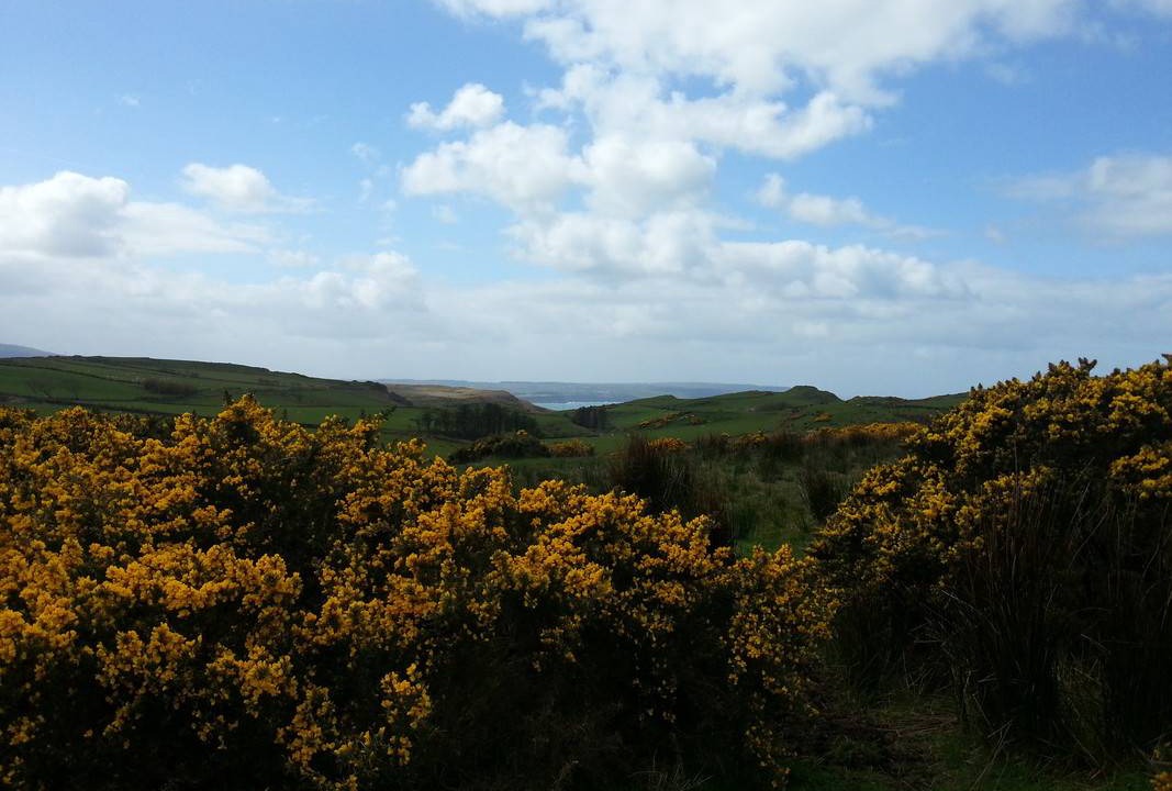 Photo of Others in Ballycastle