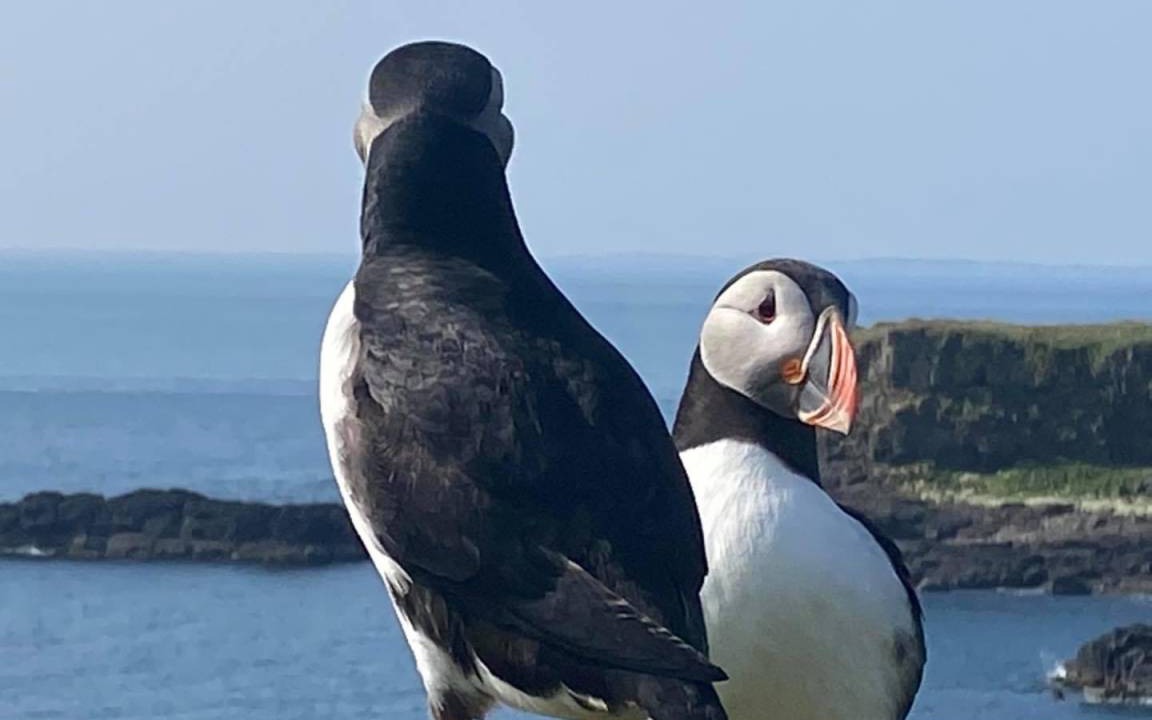 Photo of Others in Bunessan
