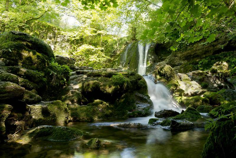 Photo of Others in Malham