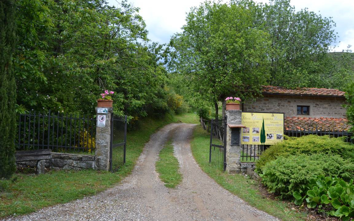 Photo of Others in Castelfranco di Sopra
