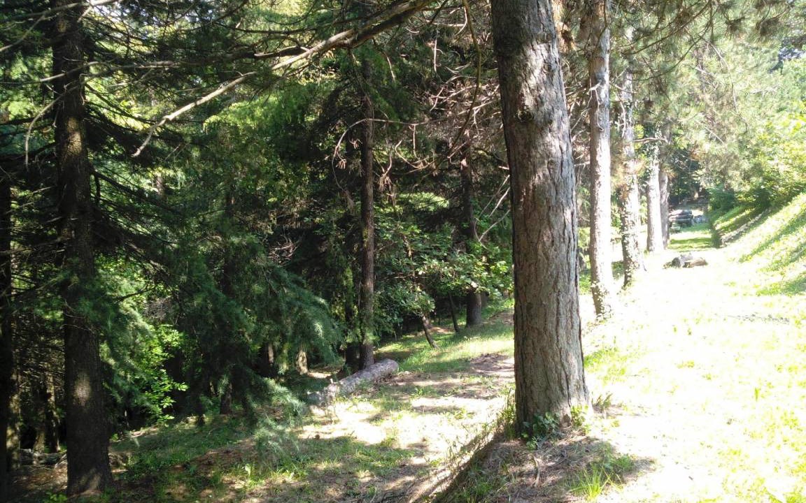 Photo of Outdoor in Diano d'Alba