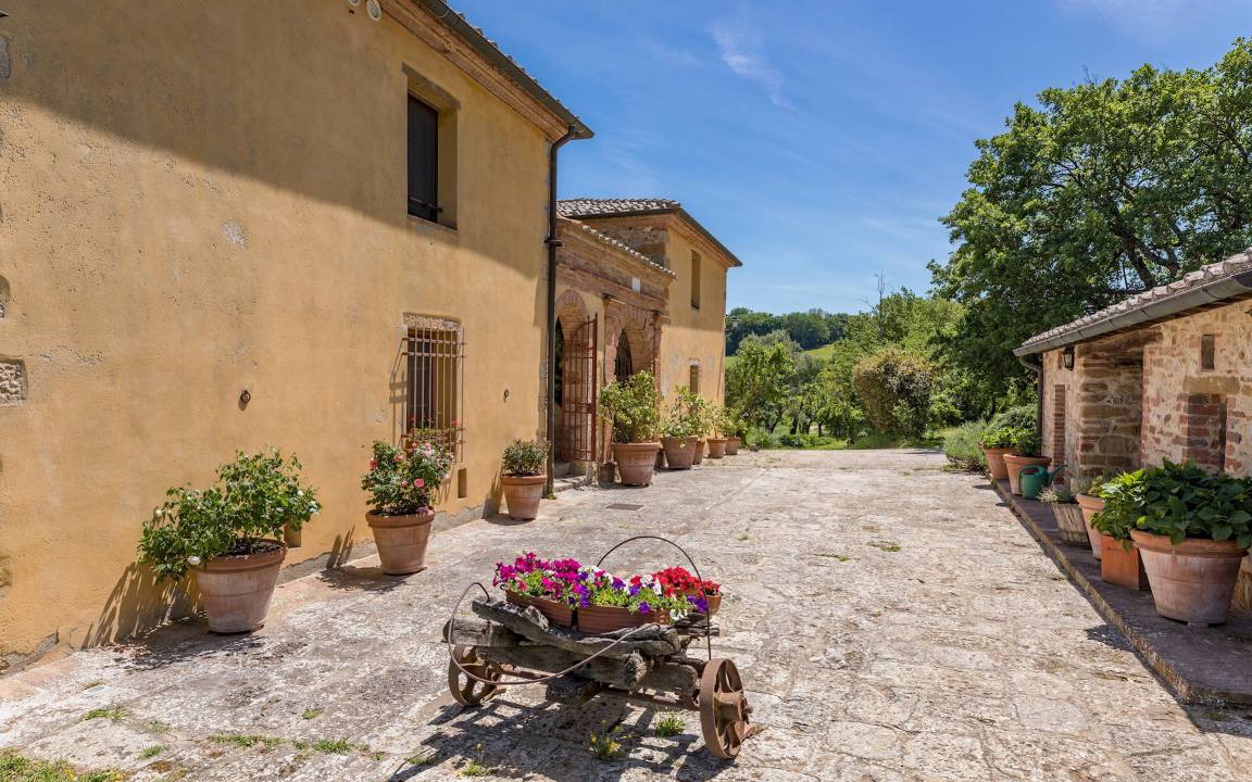 Photo of Others in Montefollonico