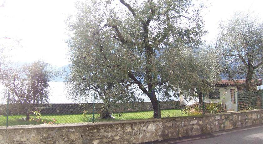 Photo of Others in Marone