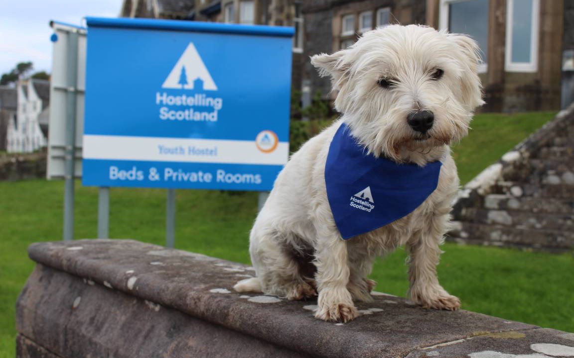 Photo of Others in Oban