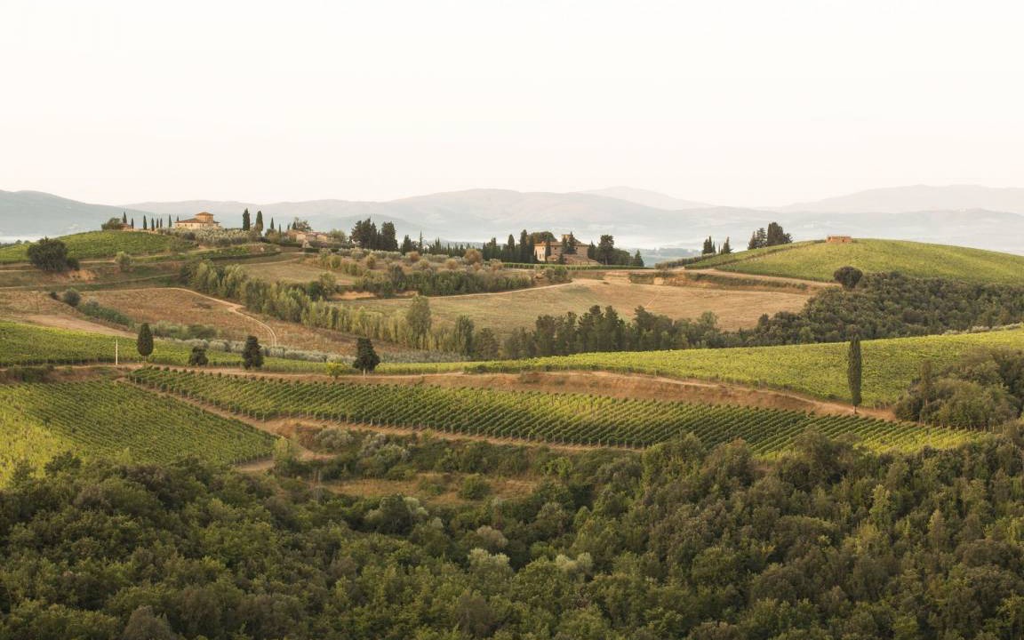 Photo of Others in Barberino Val d'Elsa