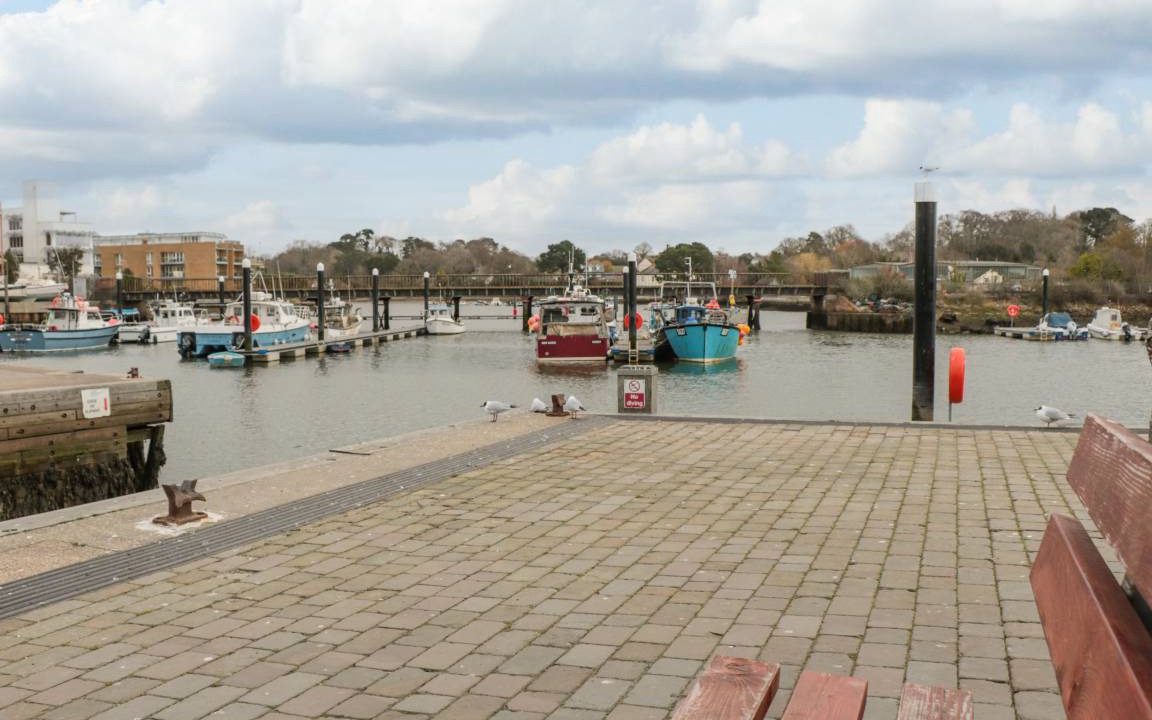 Photo of Others in New Forest District