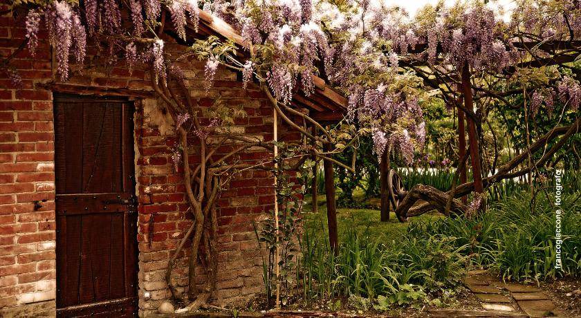 Photo of Others in Barolo