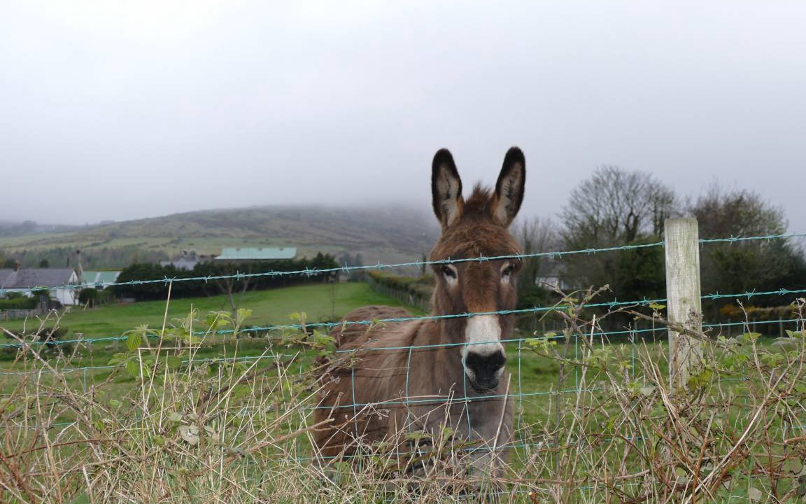 Photo of Others in Kilkeel