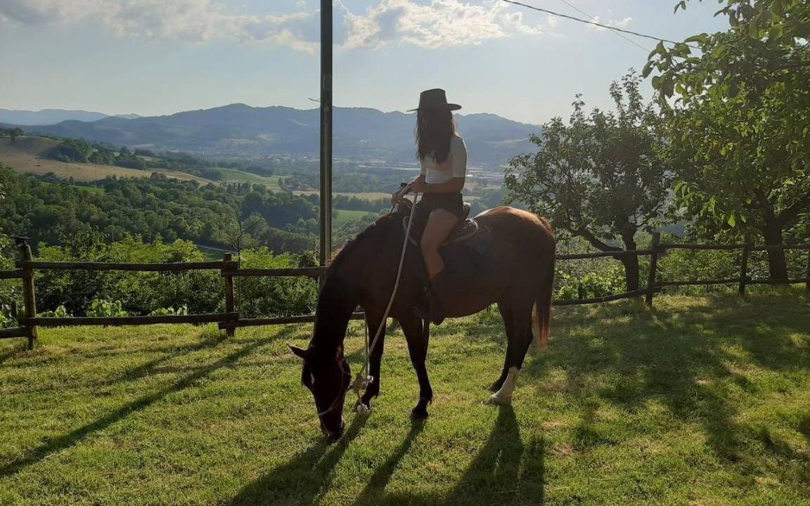 Photo of Others in Urbino