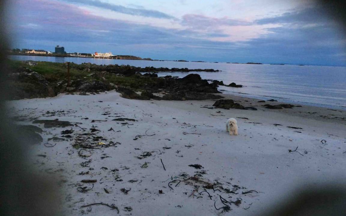 Photo of Human In Picture in Laphroaig