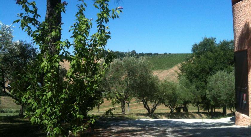 Photo of Others in Offagna