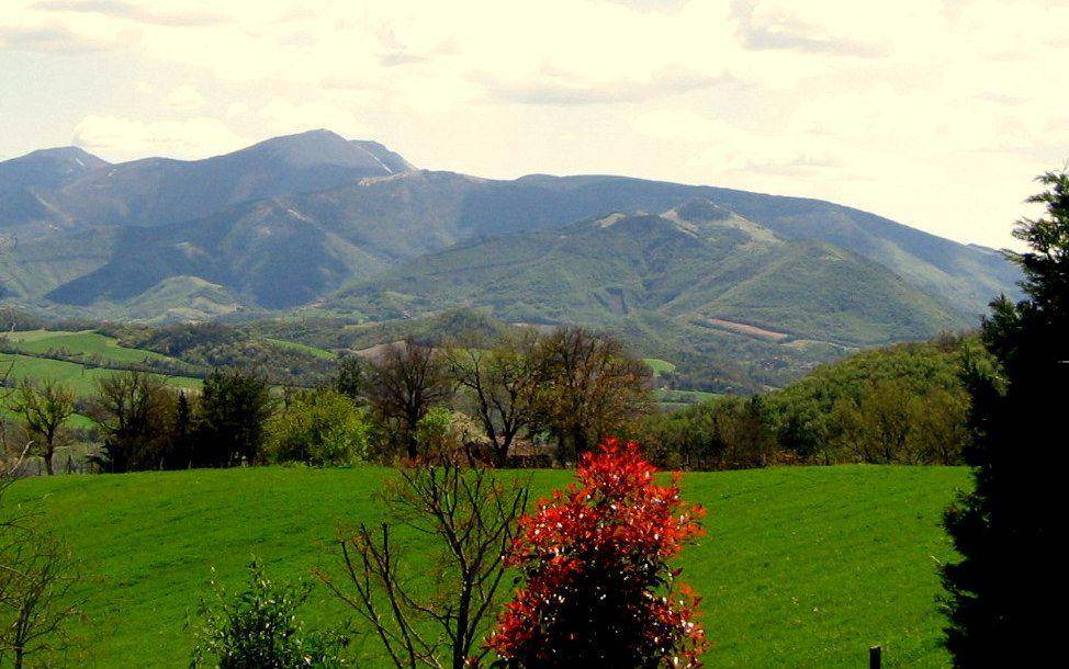 Photo of Others in Cagli