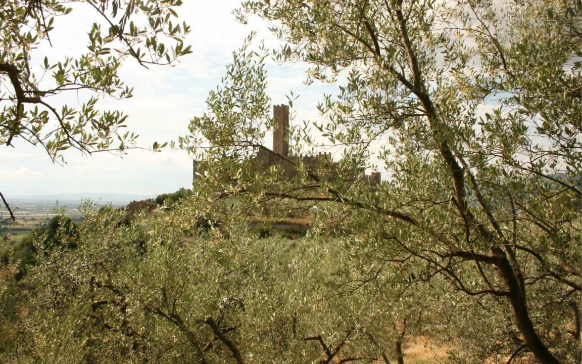 Photo of Others in Montecchio
