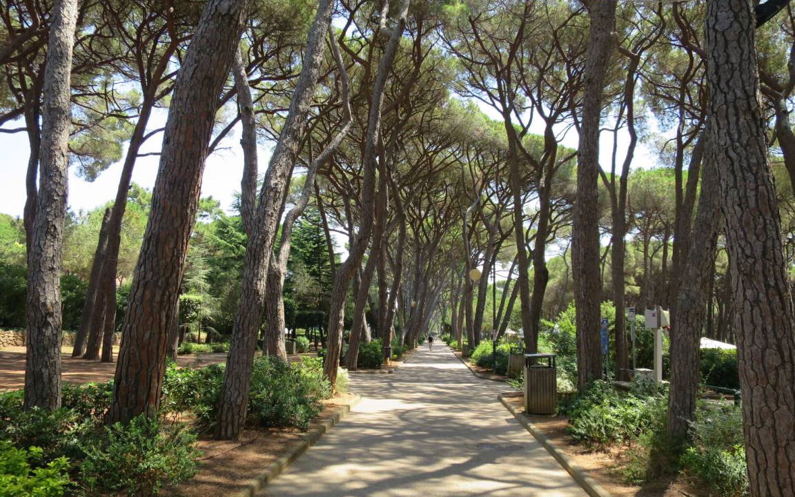 Photo of Others in Livorno