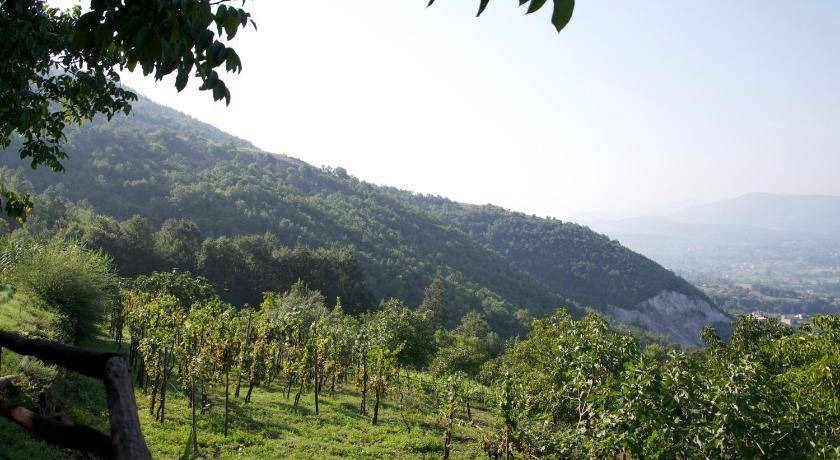 Photo of Others in Padula