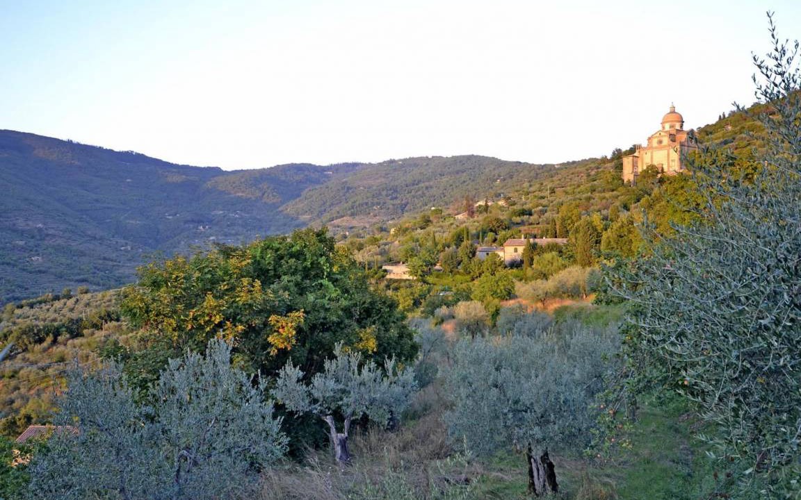Photo of Others in Cortona